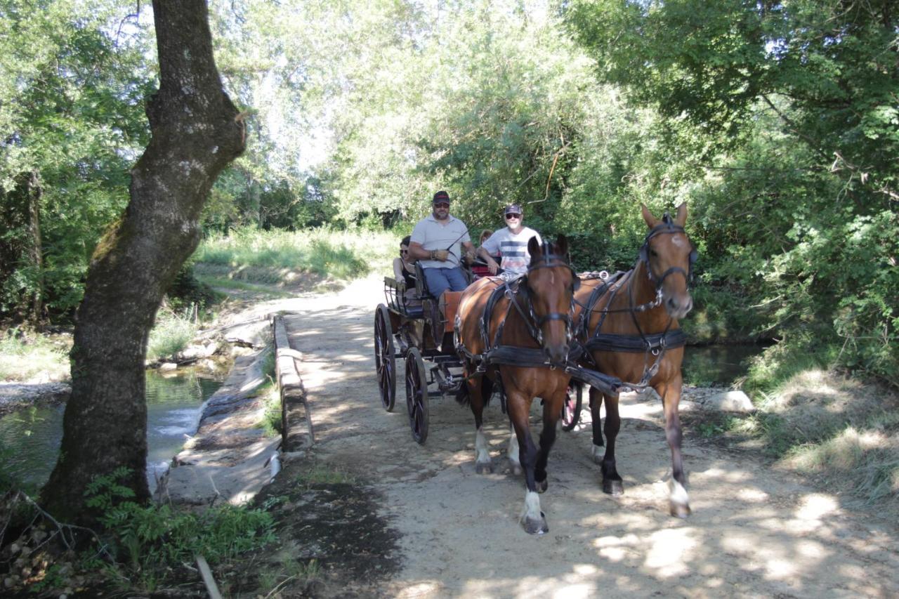 Le Mas De La Coste Saint-Sauveur-de-Cruzière Eksteriør billede